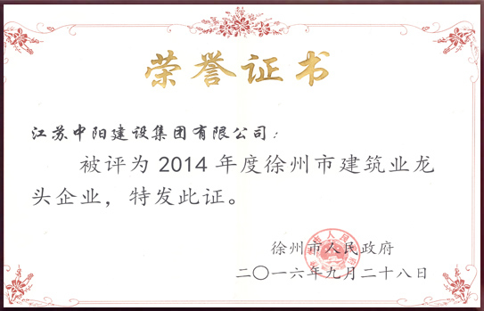 徐州市建筑業(yè)龍頭企業(yè)