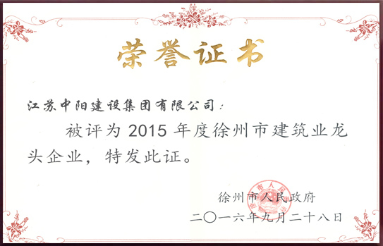 徐州市建筑業(yè)龍頭企業(yè)